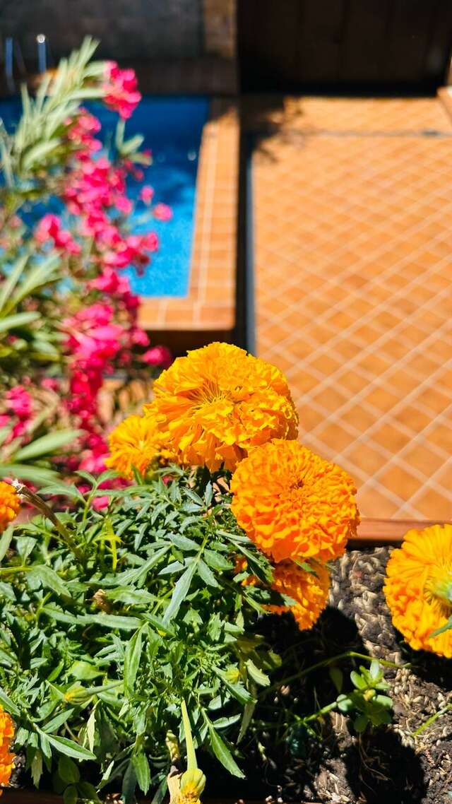 Гостиница Гостевой дом на Рахманинова Сочи-8